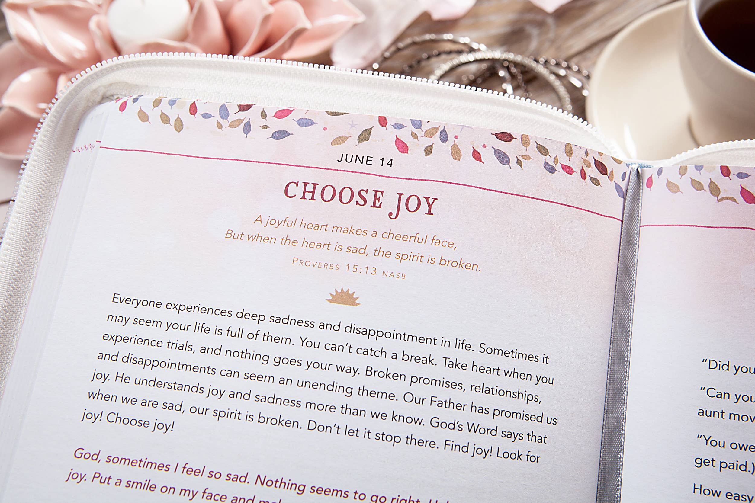 For I Know the Plans (Morning & Evening Zip Devotional)